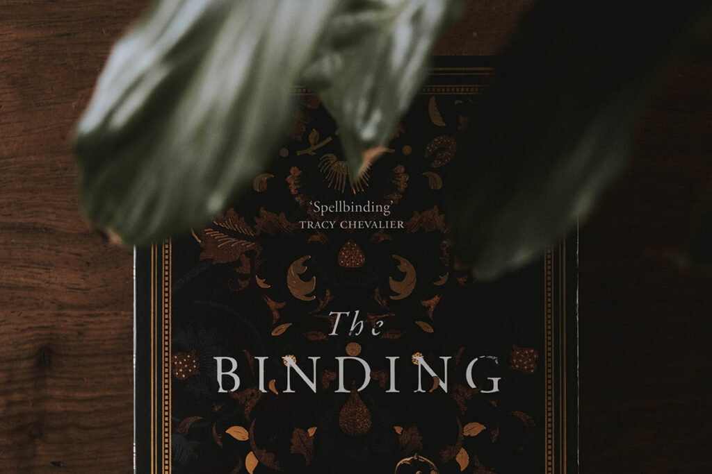 The cover of Bridget Collins' book, The Binding with a leaf over it.